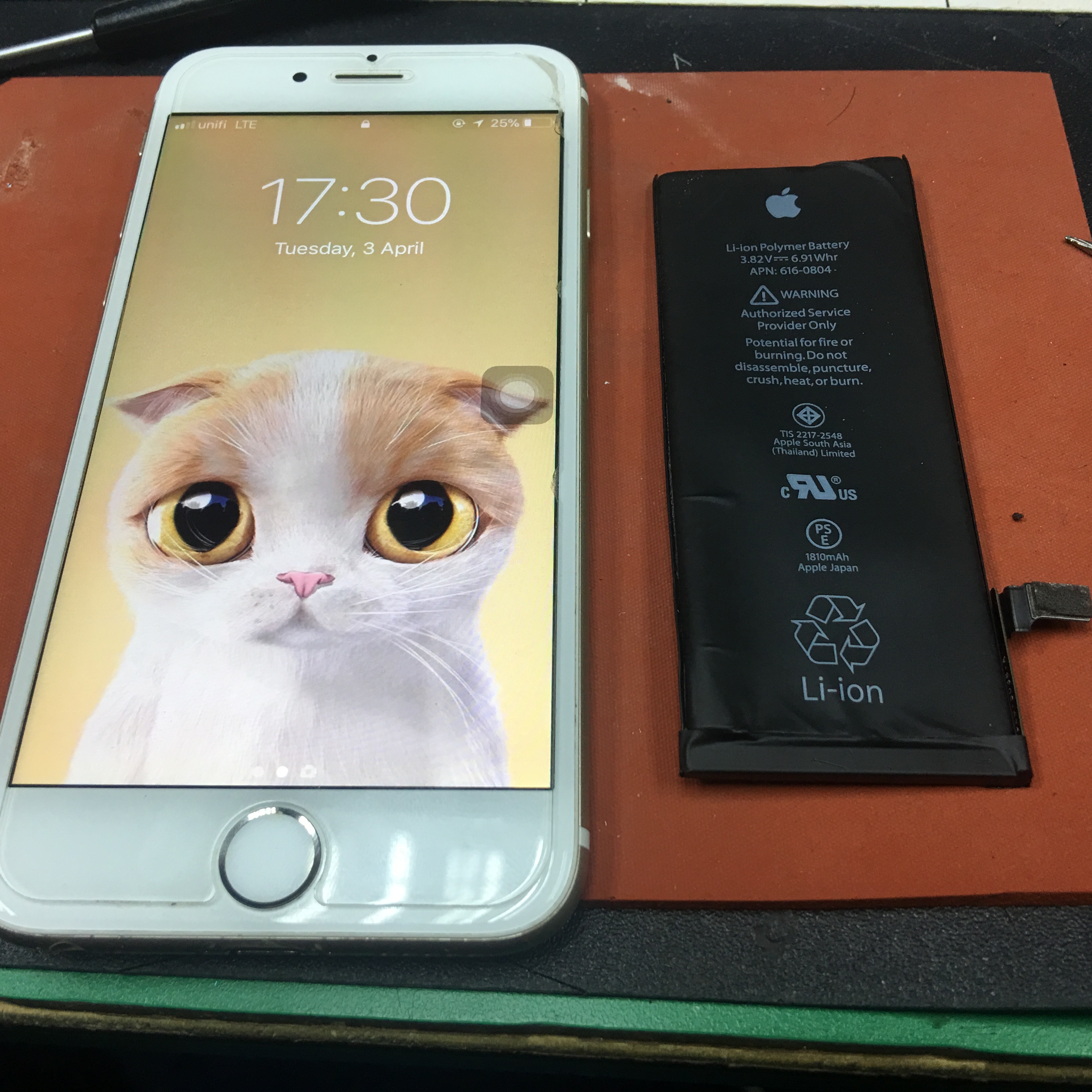 Battery iPhone 6 replacement