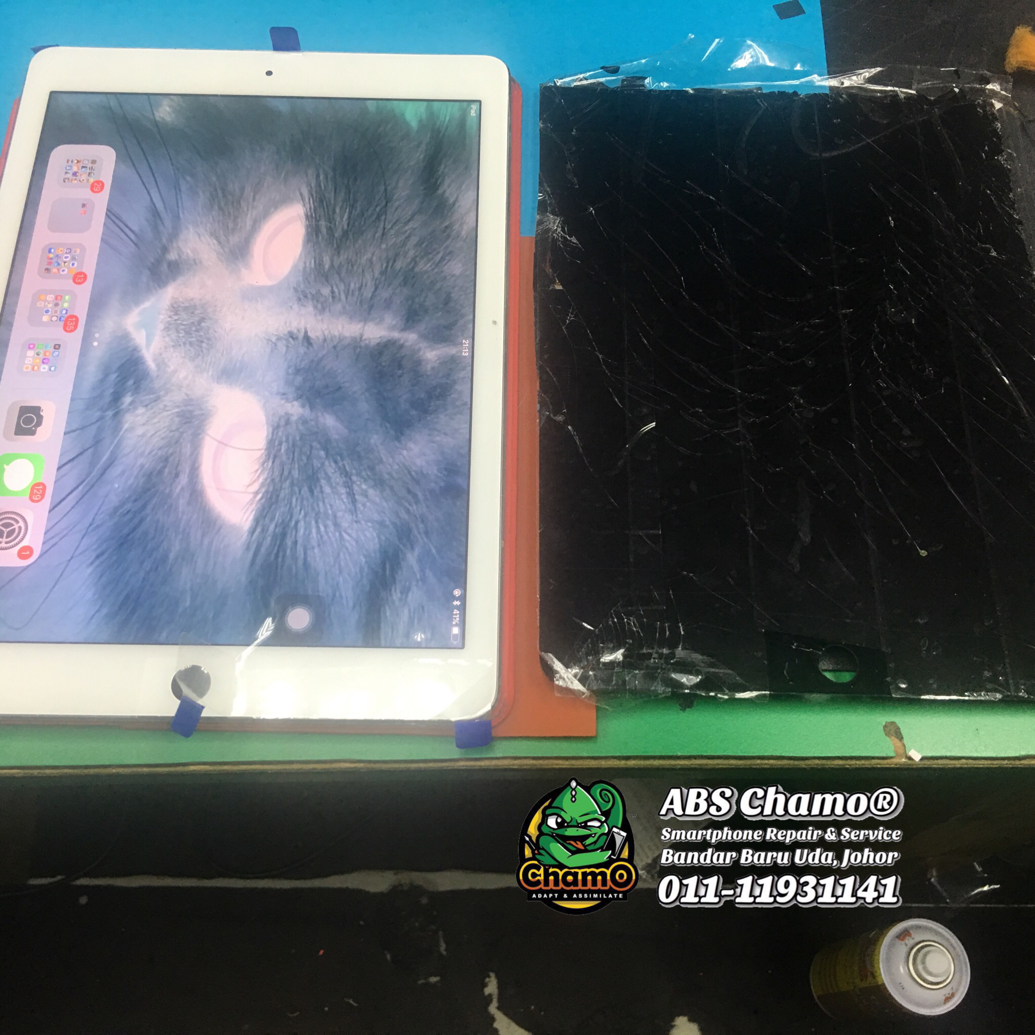 Repair LCD iPad Air 2