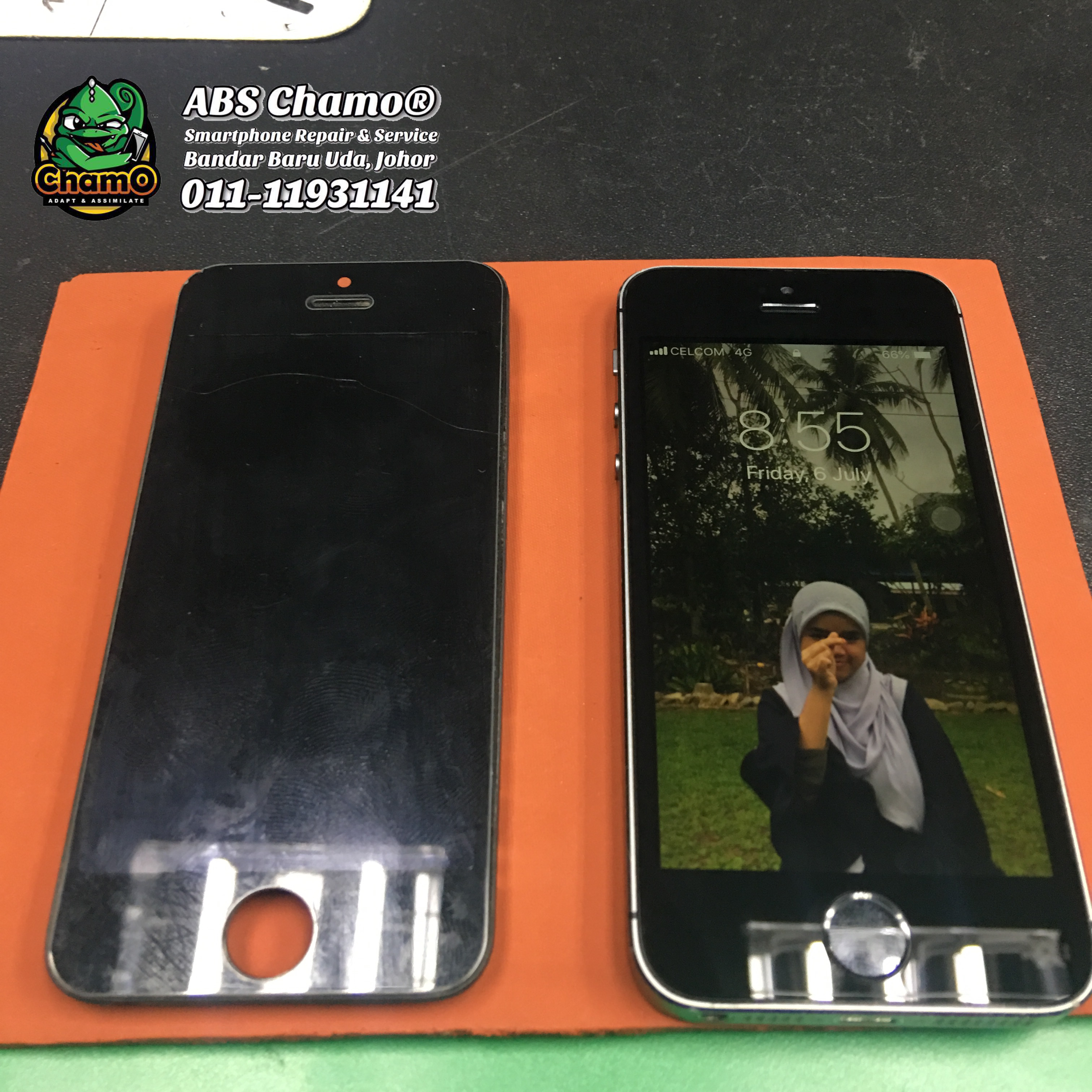 LCD iPhone 5s