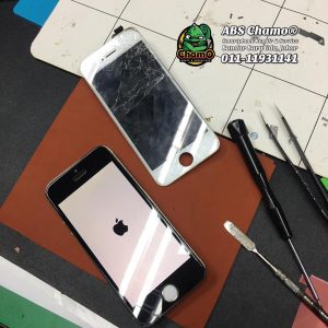 LCD iPhone 5s